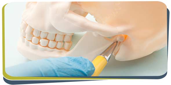 Maxillofacial Surgery Specialist Near Me in Fresno CA Maxillofacial Surgery Specialist Near Me in Fresno CA